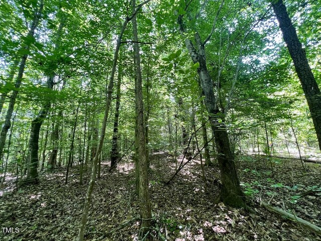 0 High View Church Rd, Roxboro, NC 27574