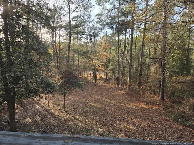 409 Thimbleberry Dr, Vass, NC 28394 - view of wooded area