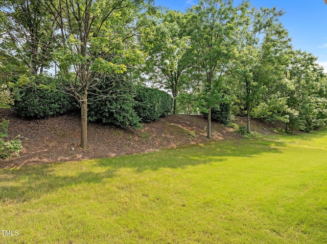 324 Farrow Glen Loop, Cary, NC 27519 - view of green lawn