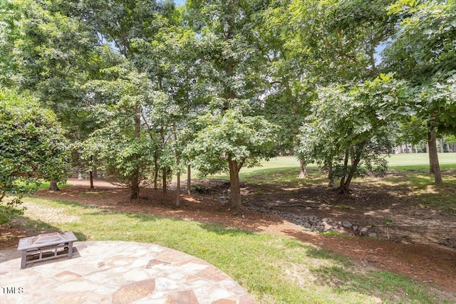 1211 E Pointe Dr, Durham, NC 27712 - view of green lawn with a patio