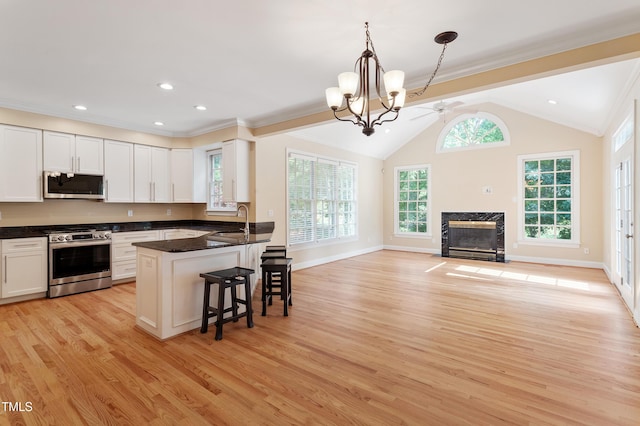 1211 E Pointe Dr, Durham, NC 27712 - kitchen with stainless steel appliances, light wood-style flooring, a sink, a kitchen bar, and a high end fireplace