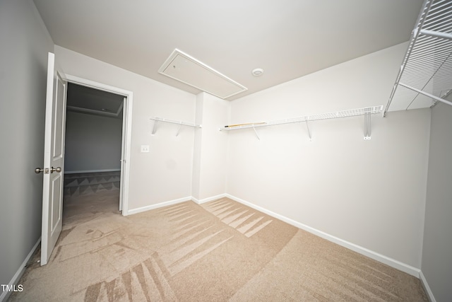 1108 Matterhorn Dr, Fuquay Varina, NC 27526 - walk in closet with attic access and light colored carpet