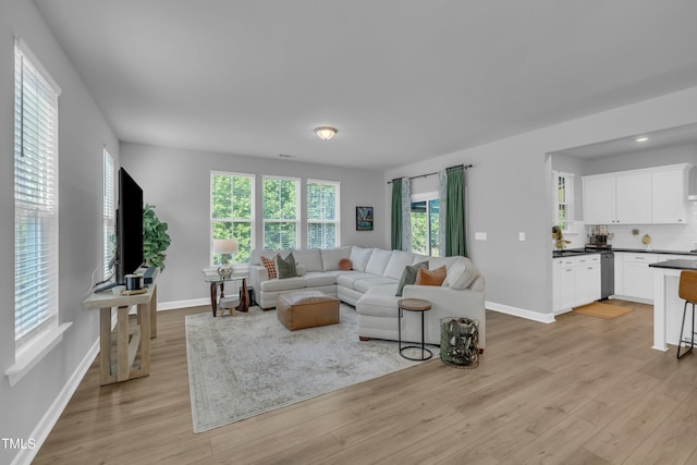 325 Buckhorn Branch Park, Clayton, NC 27520 - living area featuring light wood finished floors and baseboards