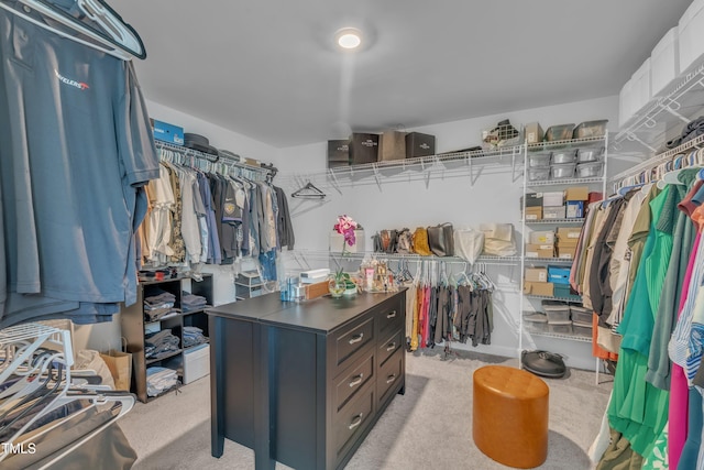 325 Buckhorn Branch Park, Clayton, NC 27520 - view of walk in closet