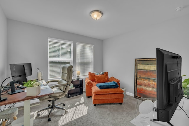 325 Buckhorn Branch Park, Clayton, NC 27520 - office space with carpet and baseboards