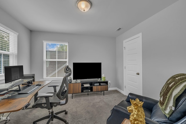 325 Buckhorn Branch Park, Clayton, NC 27520 - office featuring carpet and baseboards