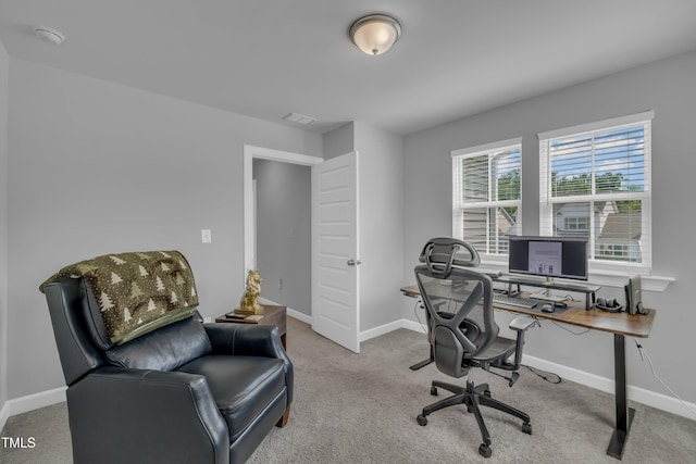 325 Buckhorn Branch Park, Clayton, NC 27520 - carpeted home office with baseboards