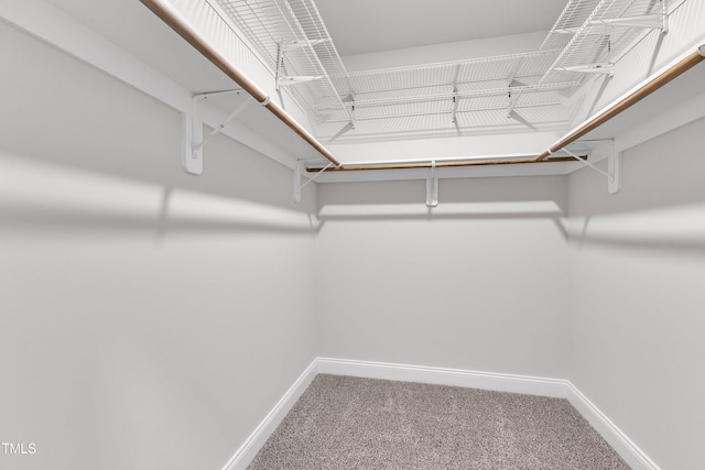 1217 Linkwood Way, Fuquay Varina, NC 27526 - spacious closet featuring carpet floors