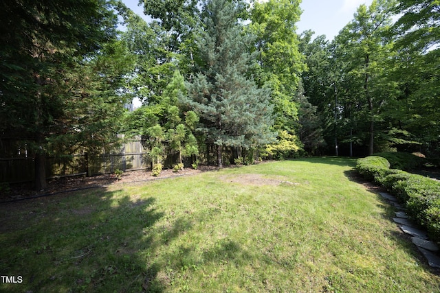 803 High Ct, Hillsborough, NC 27278 - view of yard