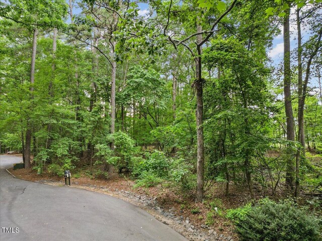 1808 Kir Cir, Sanford, NC 27332 - photo 3