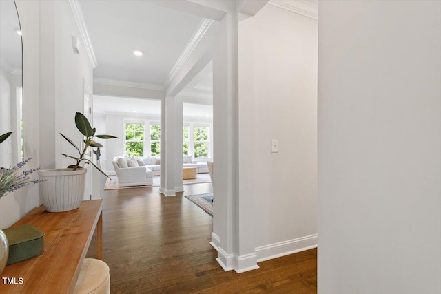 74 Permit Ct, Chapel Hill, NC 27517 - corridor with wood finished floors, ornamental molding, recessed lighting, and baseboards
