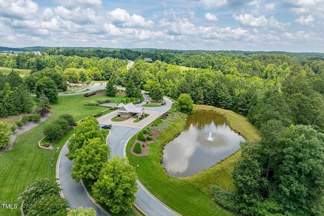 74 Permit Ct, Chapel Hill, NC 27517 - view of property location with a nearby body of water and a heavily wooded area