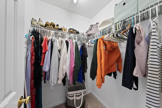 1154 Bungalow Park Dr, Apex, NC 27502 - spacious closet with carpet flooring