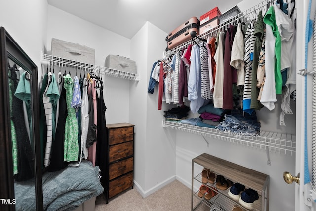 1154 Bungalow Park Dr, Apex, NC 27502 - walk in closet featuring carpet flooring