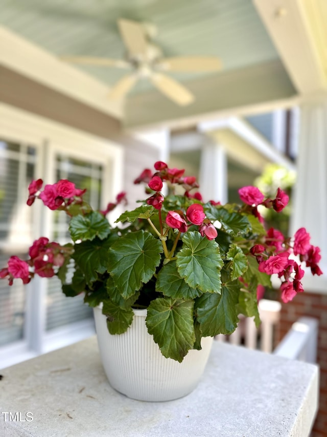 1154 Bungalow Park Dr, Apex, NC 27502 - detailed view