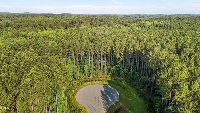 586 Anneliis Ln, Siler City, NC 27344