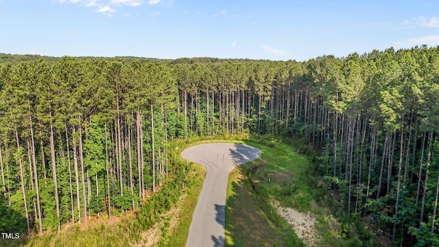 586 Anneliis Ln, Siler City, NC 27344