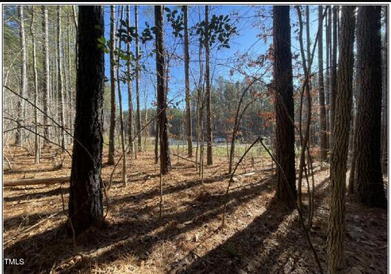 586 Anneliis Ln, Siler City, NC 27344