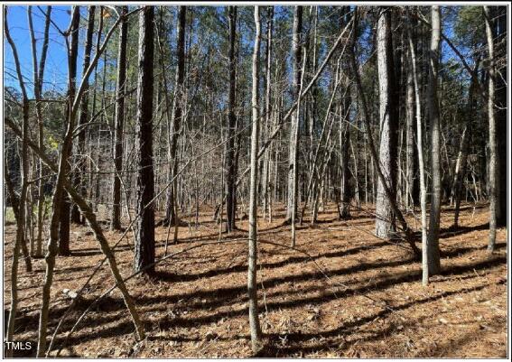586 Anneliis Ln, Siler City, NC 27344