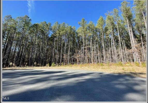 586 Anneliis Ln, Siler City, NC 27344