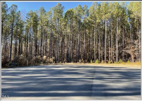 586 Anneliis Ln, Siler City, NC 27344
