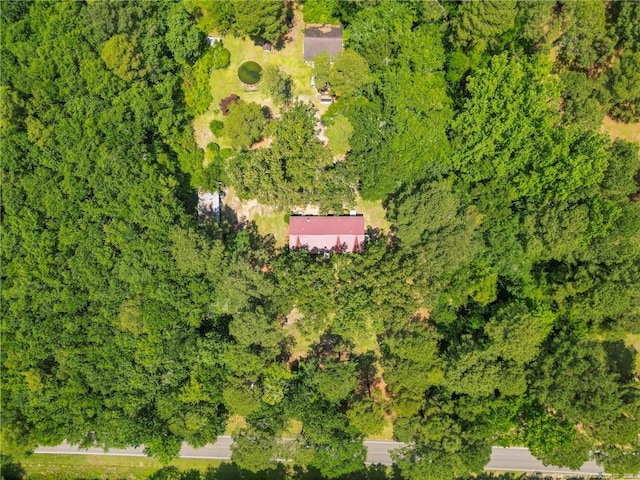 21621 Old Maxton Rd, Maxton, NC 28364 - aerial view of property's location