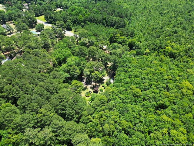 21621 Old Maxton Rd, Maxton, NC 28364 - aerial view of property's location with a heavily wooded area