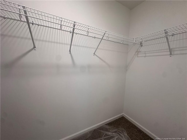 112 Dalton Dr, Lumber Bridge, NC 28357 - view of spacious closet