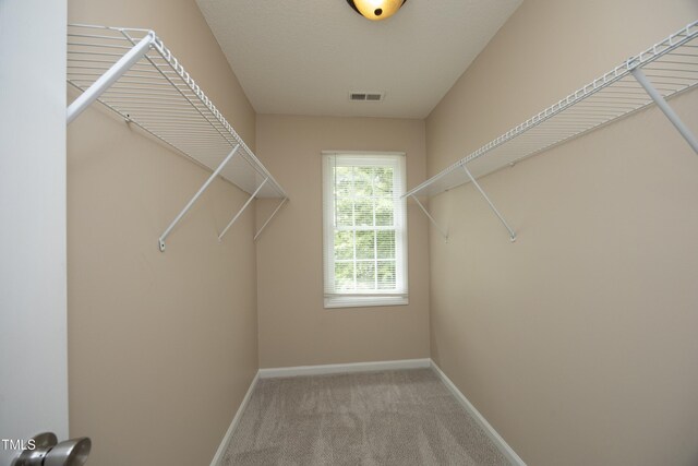 105 Old Dock Trl, Cary, NC 27519 - walk in closet with carpet floors
