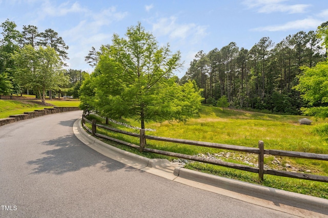 1604 Vineyard Mist Dr, Cary, NC 27519 - view of road with curbs