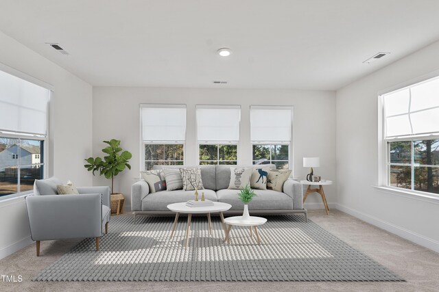46 Two Belles Ct, Angier, NC 27501 - living area featuring healthy amount of natural light, carpet, and baseboards