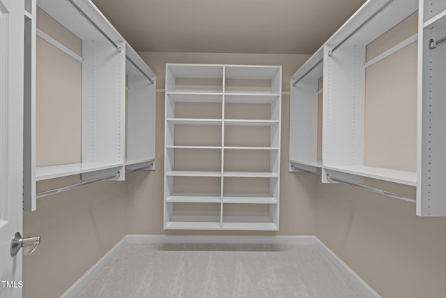 7409 Chesley Ln, Durham, NC 27713 - walk in closet with carpet