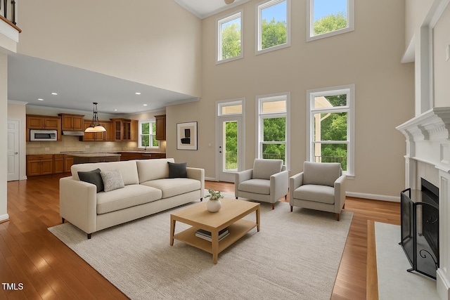 7409 Chesley Ln, Durham, NC 27713 - living area with a high ceiling, light wood-style flooring, a fireplace, ornamental molding, and recessed lighting