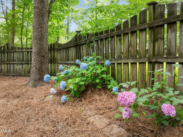 15 Gray Fox Ct, Durham, NC 27713 - view of fenced backyard