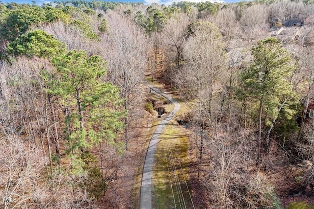 15 Gray Fox Ct, Durham, NC 27713 - view of woods