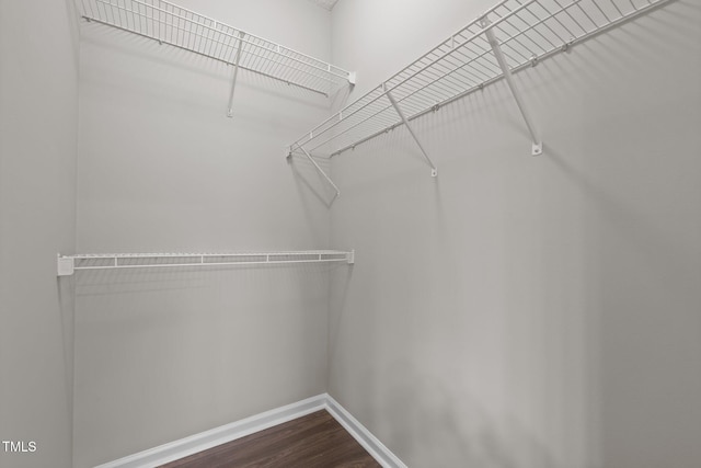 107 Covington Dr, Chapel Hill, NC 27514 - walk in closet featuring dark wood-type flooring