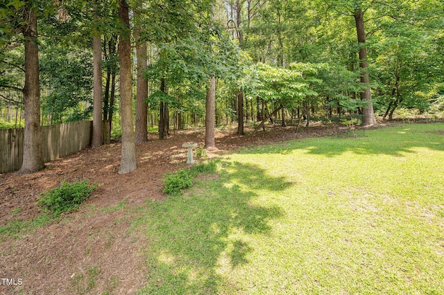 1230 Golden Bluff Ln, Fuquay Varina, NC 27526 - view of yard