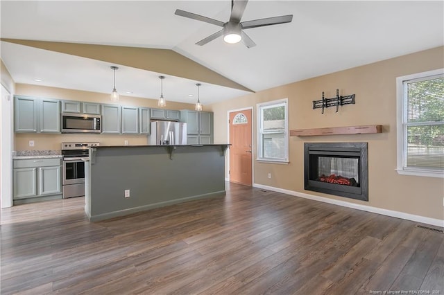 2298 Hackney Loop, Fayetteville, NC 28304 - kitchen featuring stainless steel appliances, dark wood-style flooring, a multi sided fireplace, ceiling fan, and open floor plan
