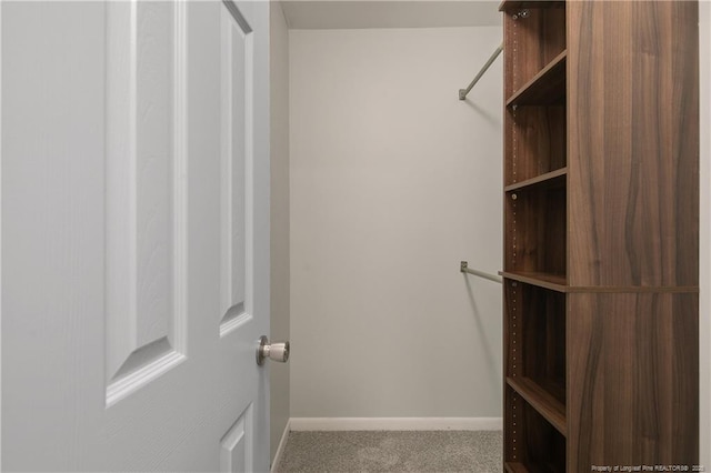 2298 Hackney Loop, Fayetteville, NC 28304 - spacious closet featuring carpet flooring
