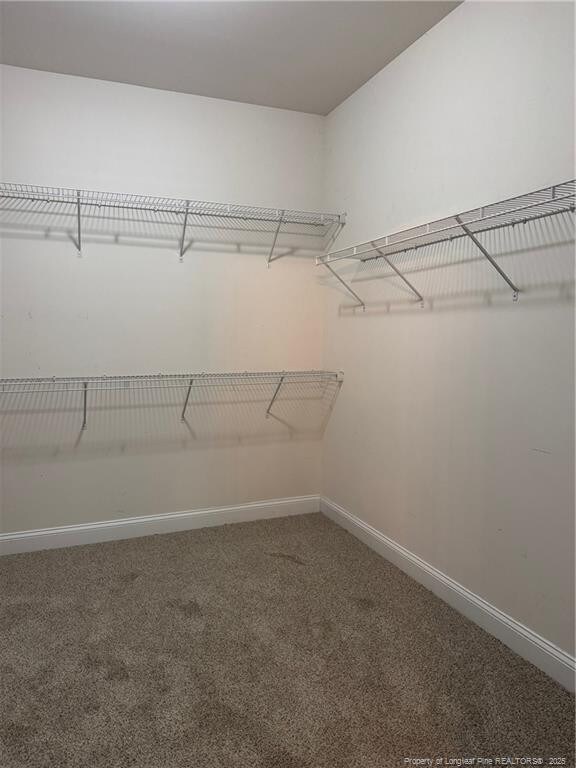 1545 Gallant Fox Ct, Parkton, NC 28371 - spacious closet with carpet