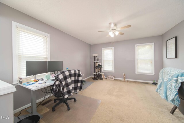 113 Lakehurst Dr, Dudley, NC 28333 - photo 9