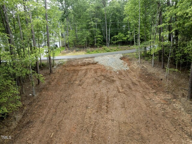 144 Oswego Dr, Louisburg, NC 27549 - photo 3