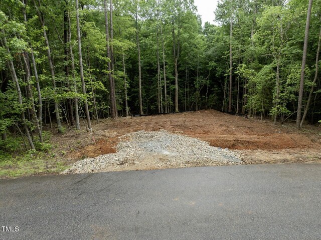 144 Oswego Dr, Louisburg, NC 27549 - photo 4