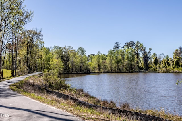 2516 Del Webb Gardens Dr, Fuquay Varina, NC 27526 - water view with a heavily wooded area