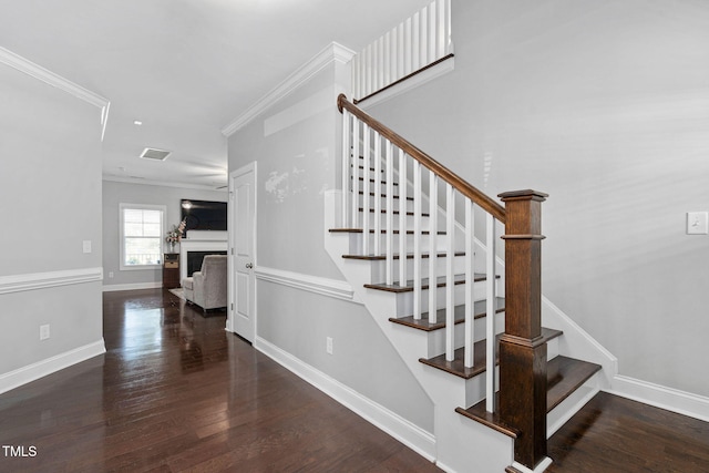 439 Cedar Pond Ct, Knightdale, NC 27545 - photo 23
