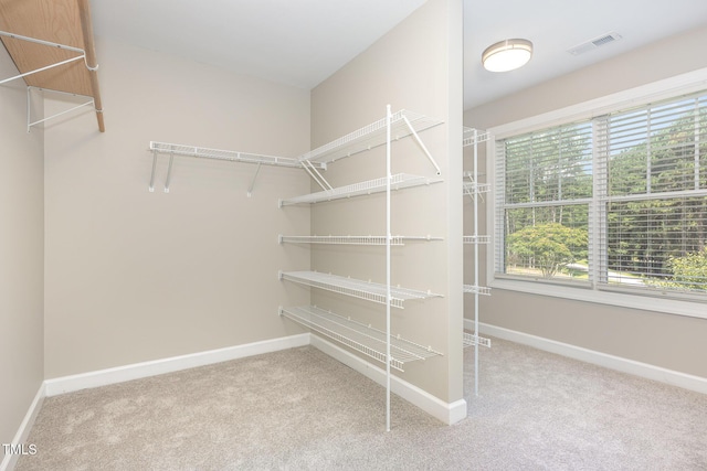 1005 Hidden River Ct, Raleigh, NC 27614 - photo 27