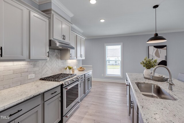3020 High Plains Dr, Fuquay Varina, NC 27526 - kitchen featuring stainless steel range with gas cooktop, a sink, under cabinet range hood, ornamental molding, and light wood-type flooring