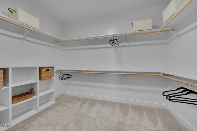 3020 High Plains Dr, Fuquay Varina, NC 27526 - spacious closet with carpet floors