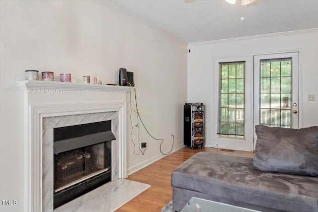 4108 Lazyriver Ln, Durham, NC 27712 - living area featuring ornamental molding, wood finished floors, a textured ceiling, and a fireplace
