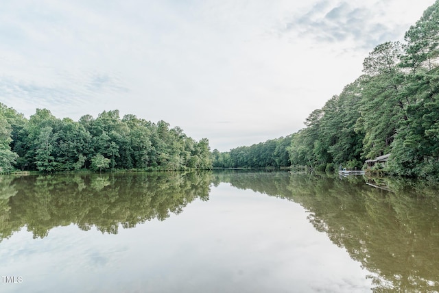 4821 Gossamer Ln Unit 102, Raleigh, NC 27616 - water view with a heavily wooded area